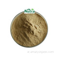 Organic Worm Grass extract Powder